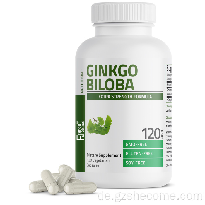 Ginkgo Biloba Unterstützung von Gehirn Ginkgo Biloba -Kapseln